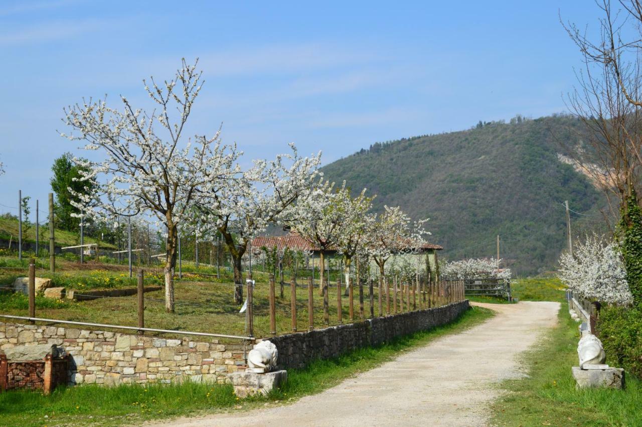 Bed and Breakfast Cascina Valsorda Concesio Exterior foto