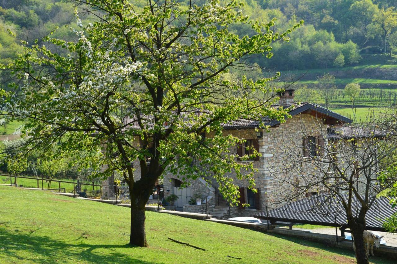 Bed and Breakfast Cascina Valsorda Concesio Exterior foto